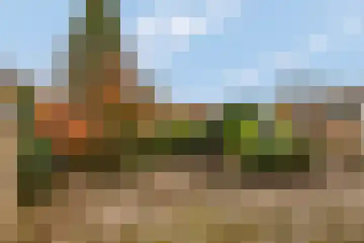 Roghairweg 16 Rhenen thumbnail 23
