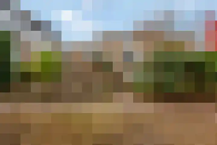 Roghairweg 16 Rhenen thumbnail 24