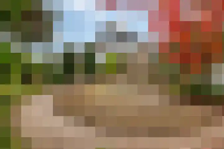 Roghairweg 16 Rhenen thumbnail 25