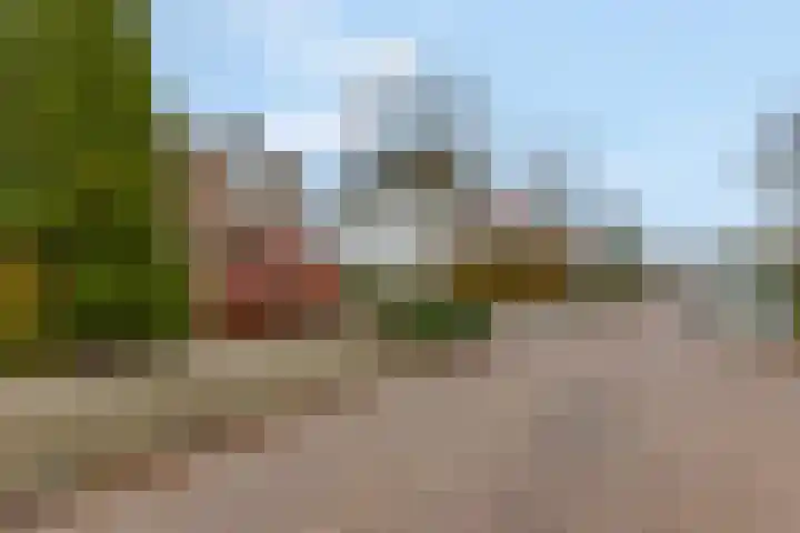 Roghairweg 16 Rhenen thumbnail 29