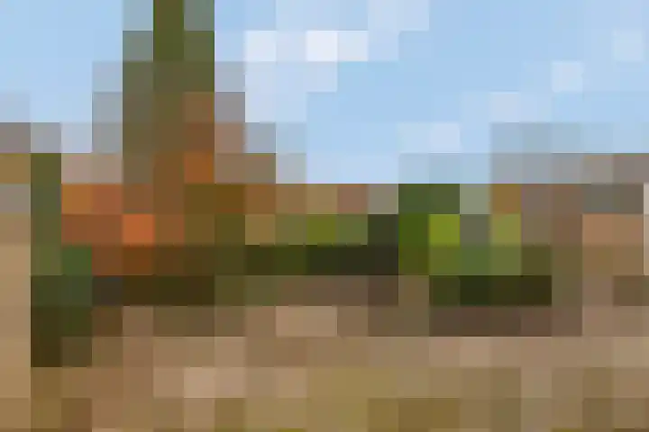 Roghairweg 16 Rhenen thumbnail 4