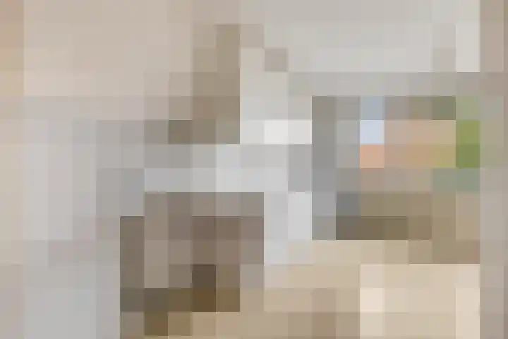 Roghairweg 16 Rhenen thumbnail 9