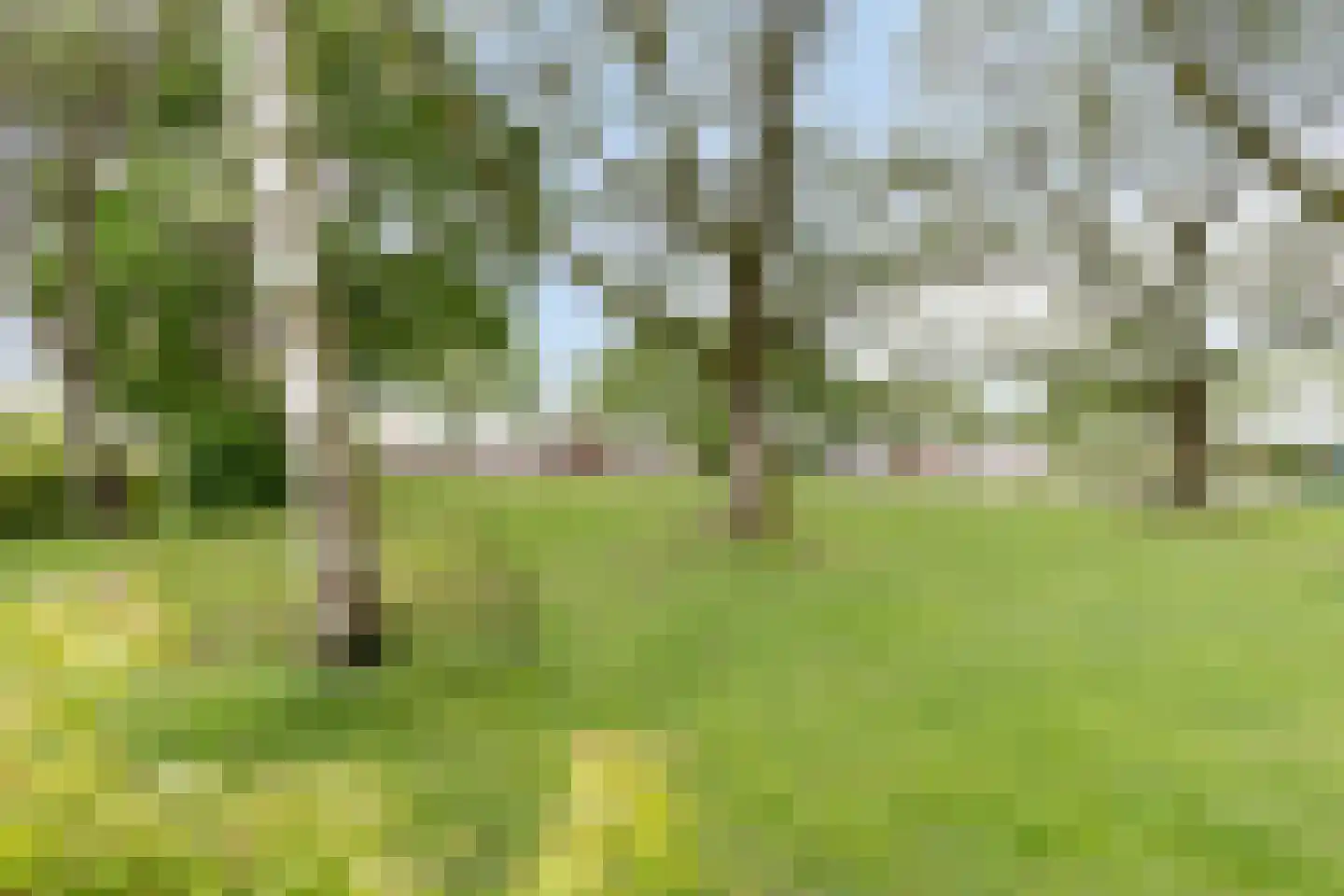 Roghmanpad 6 Eindhoven thumbnail 26