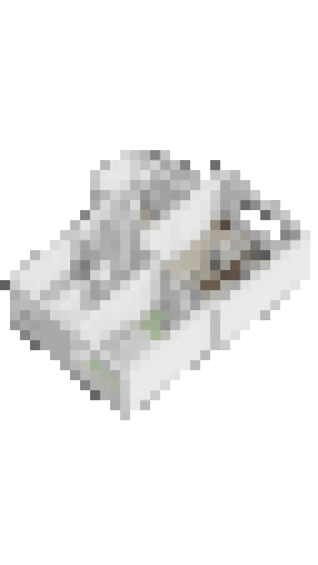 Roghmanpad 6 Eindhoven thumbnail 30