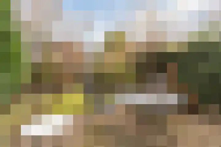 Roghorst 112 Wageningen thumbnail 39