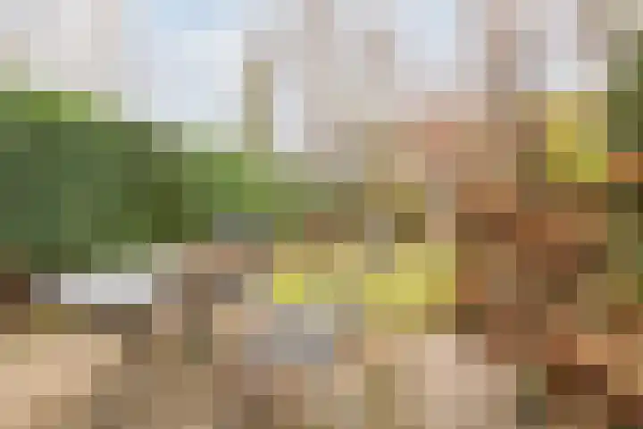 Roghorst 112 Wageningen thumbnail 40