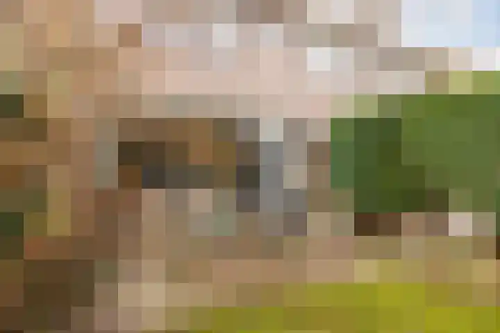Roghorst 112 Wageningen thumbnail 41