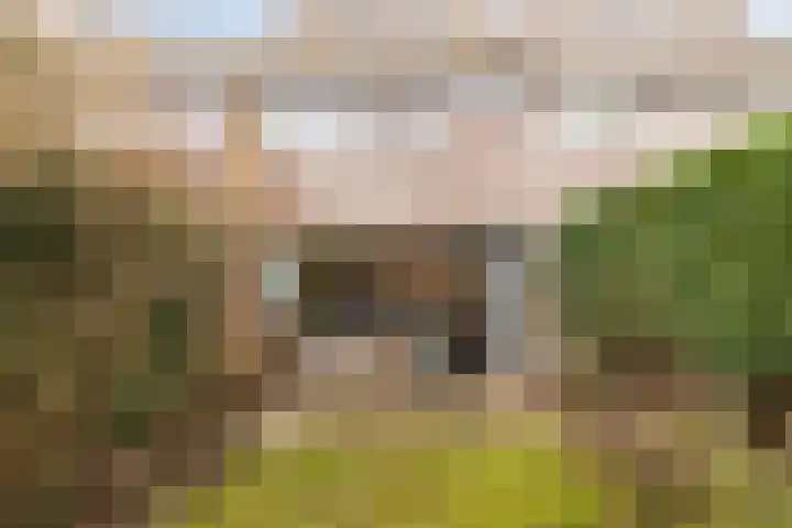 Roghorst 112 Wageningen thumbnail 42