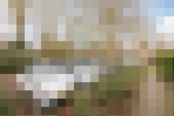 Roghorst 112 Wageningen thumbnail 44