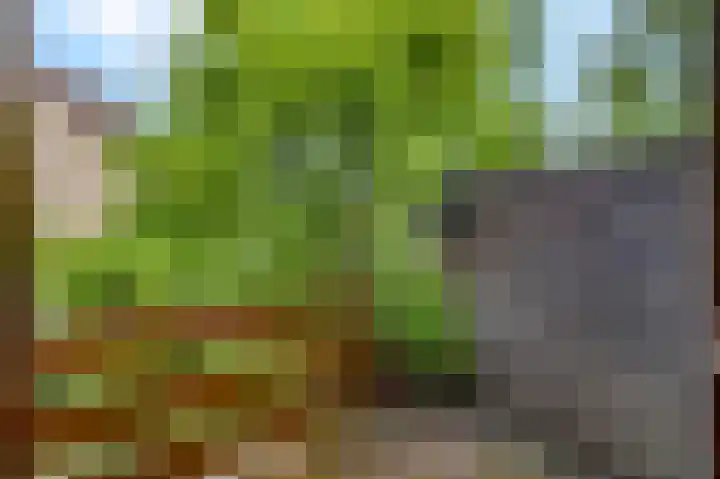 Roghorst 114 Wageningen thumbnail 20