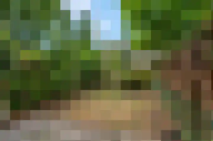 Roghorst 114 Wageningen thumbnail 31