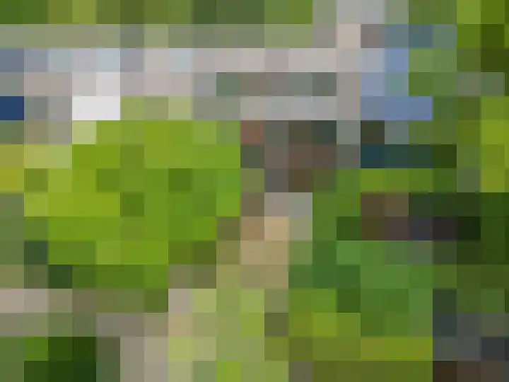 Roghorst 114 Wageningen thumbnail 32