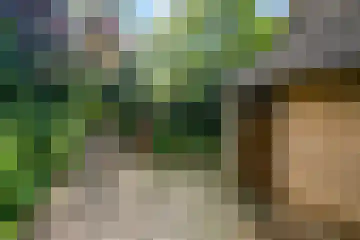 Roghorst 114 Wageningen thumbnail 34