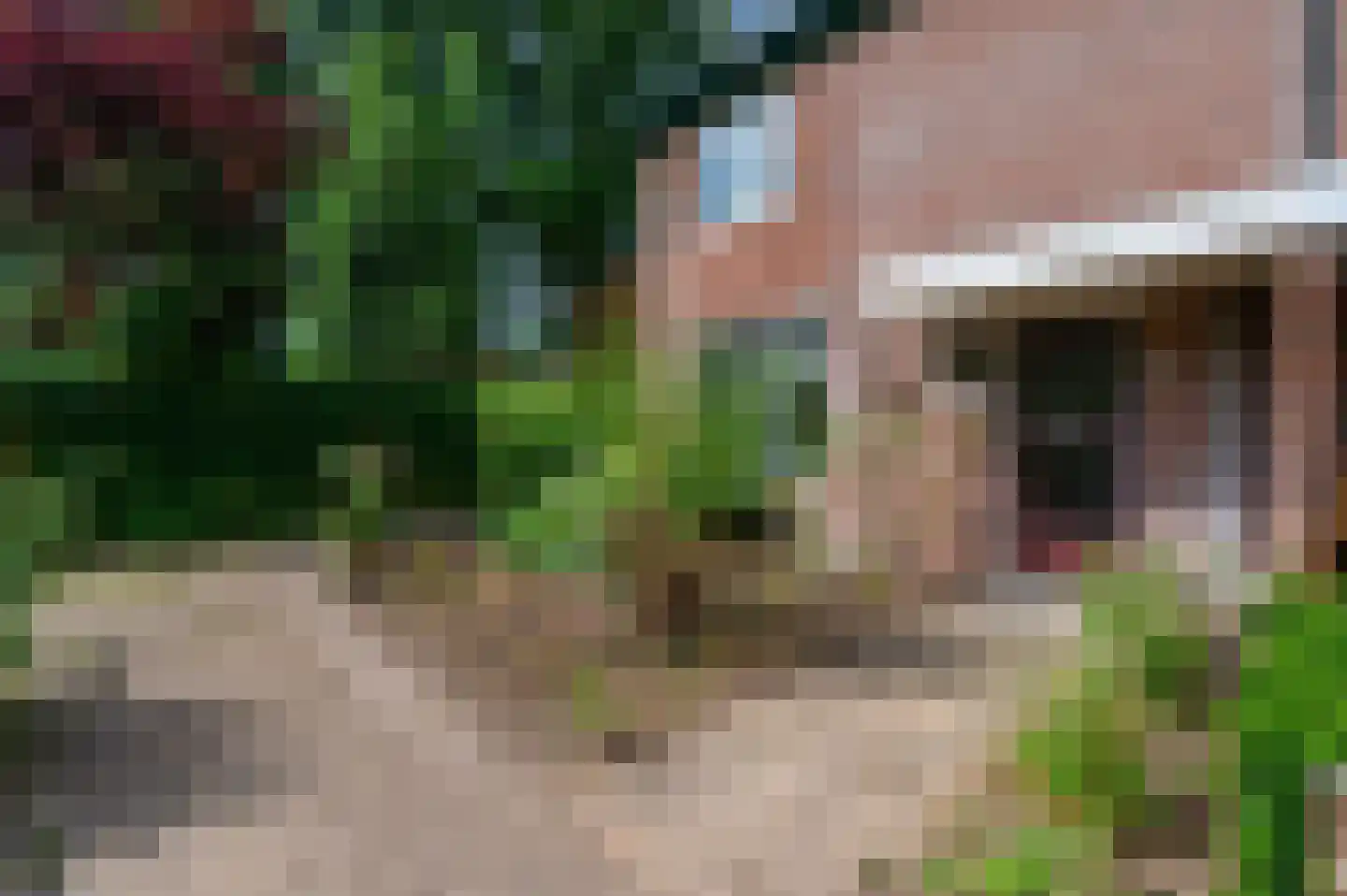 Roghorst 133 Wageningen thumbnail 10