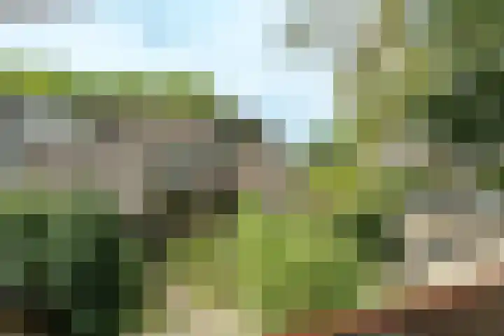 Roghorst 136 Wageningen thumbnail 17