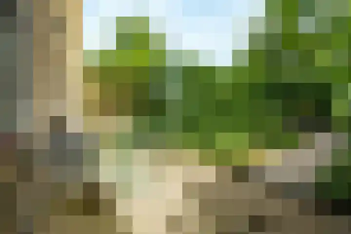 Roghorst 136 Wageningen thumbnail 22