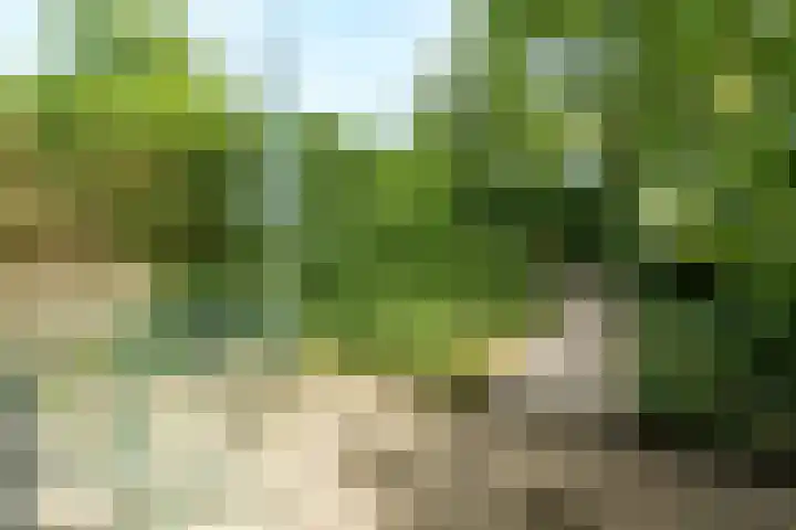 Roghorst 136 Wageningen thumbnail 23