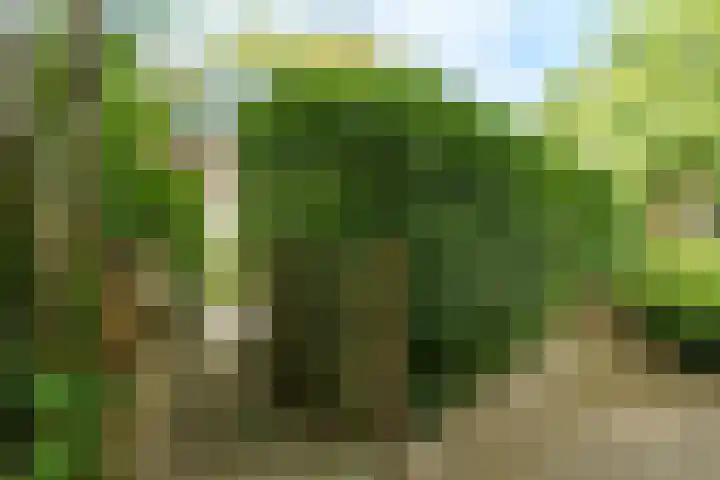 Roghorst 136 Wageningen thumbnail 26