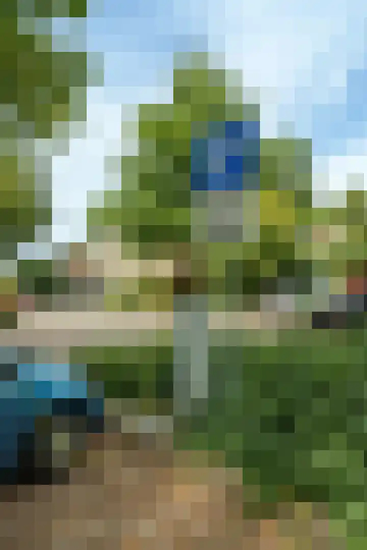 Roghorst 136 Wageningen thumbnail 29