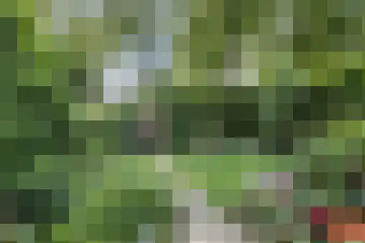 Roghorst 143 Wageningen thumbnail 35