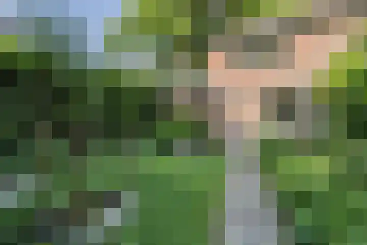 Roghorst 143 Wageningen thumbnail 36