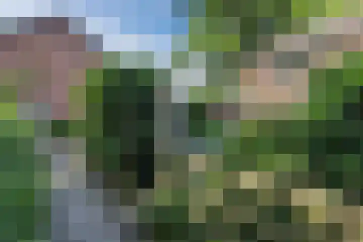 Roghorst 143 Wageningen thumbnail 39