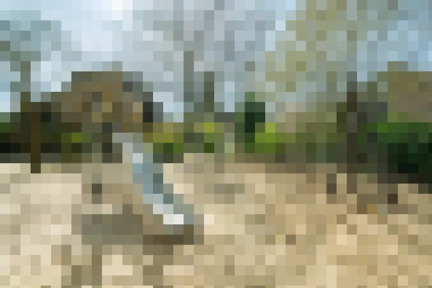 Roghorst 146 Wageningen thumbnail 29
