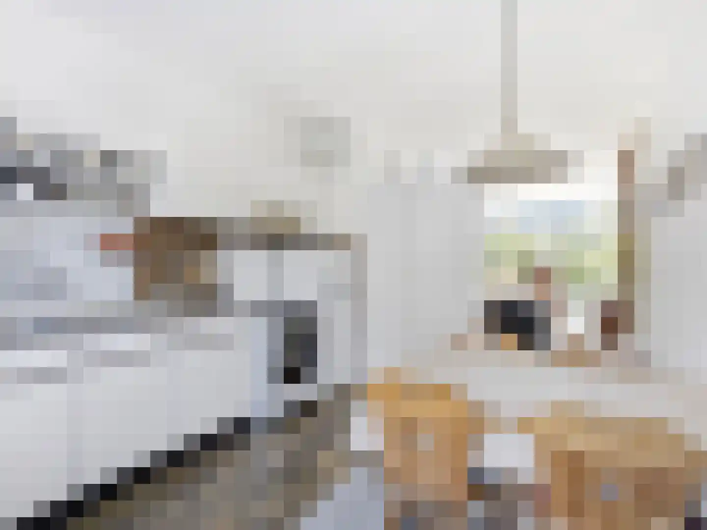 Roghorst 17 Wageningen thumbnail 15