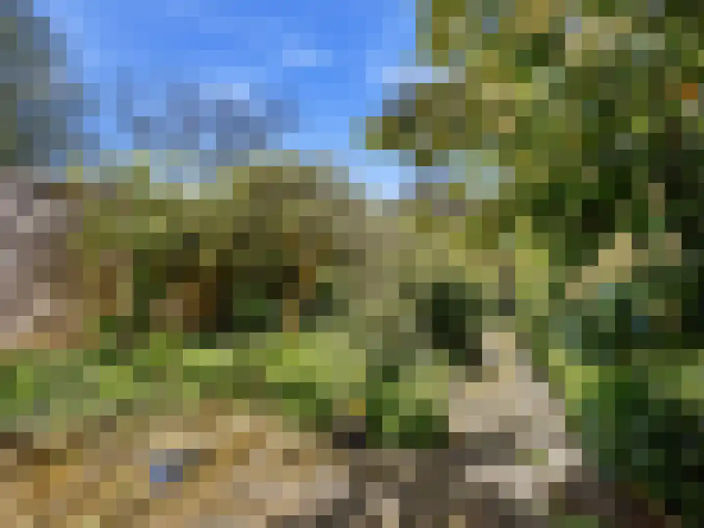 Roghorst 17 Wageningen thumbnail 29