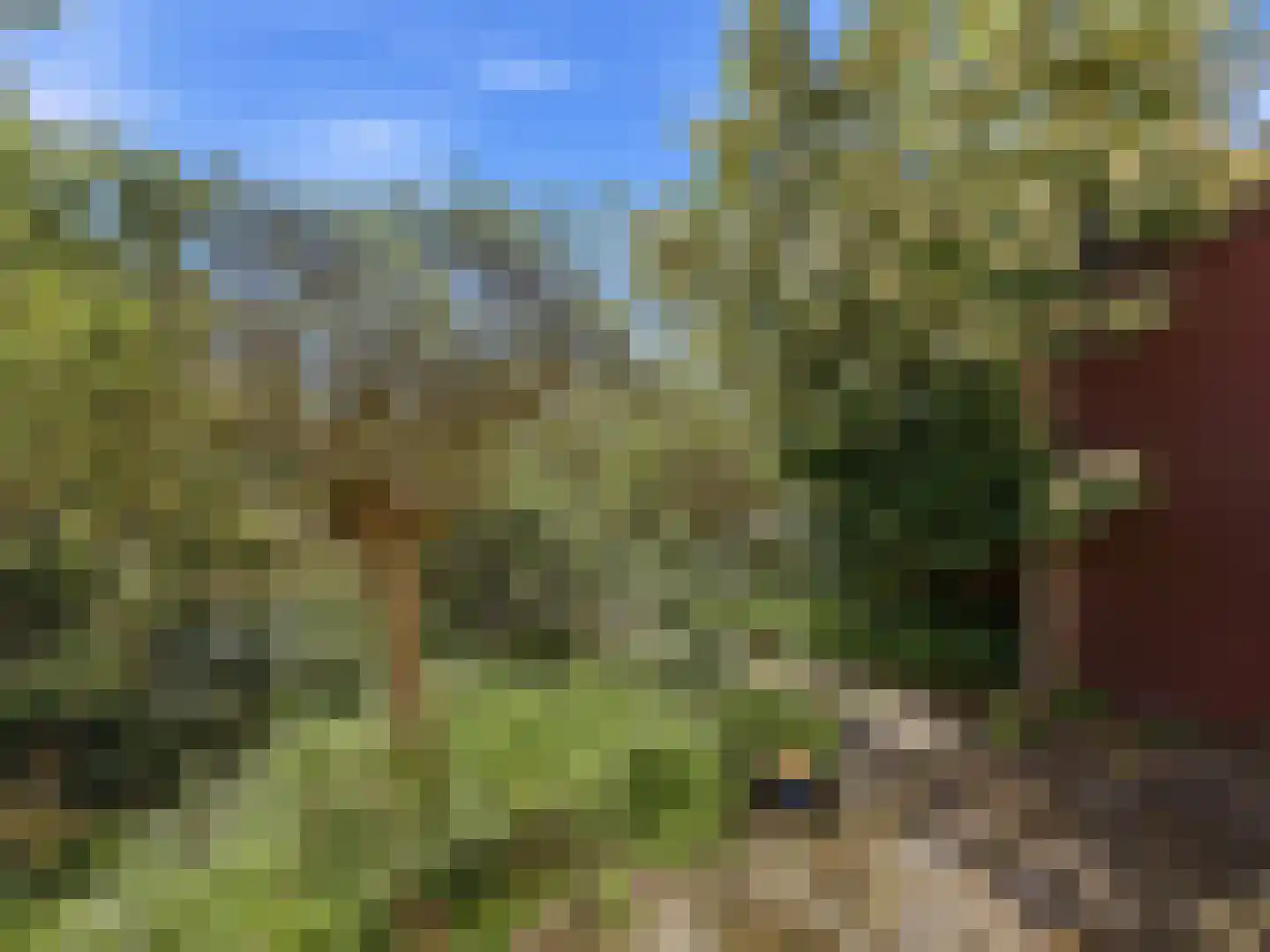 Roghorst 17 Wageningen thumbnail 30