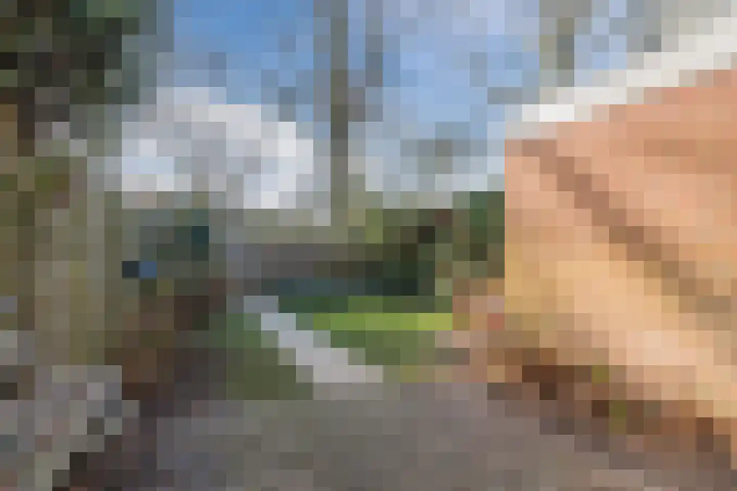 Roghorst 185 Wageningen thumbnail 49