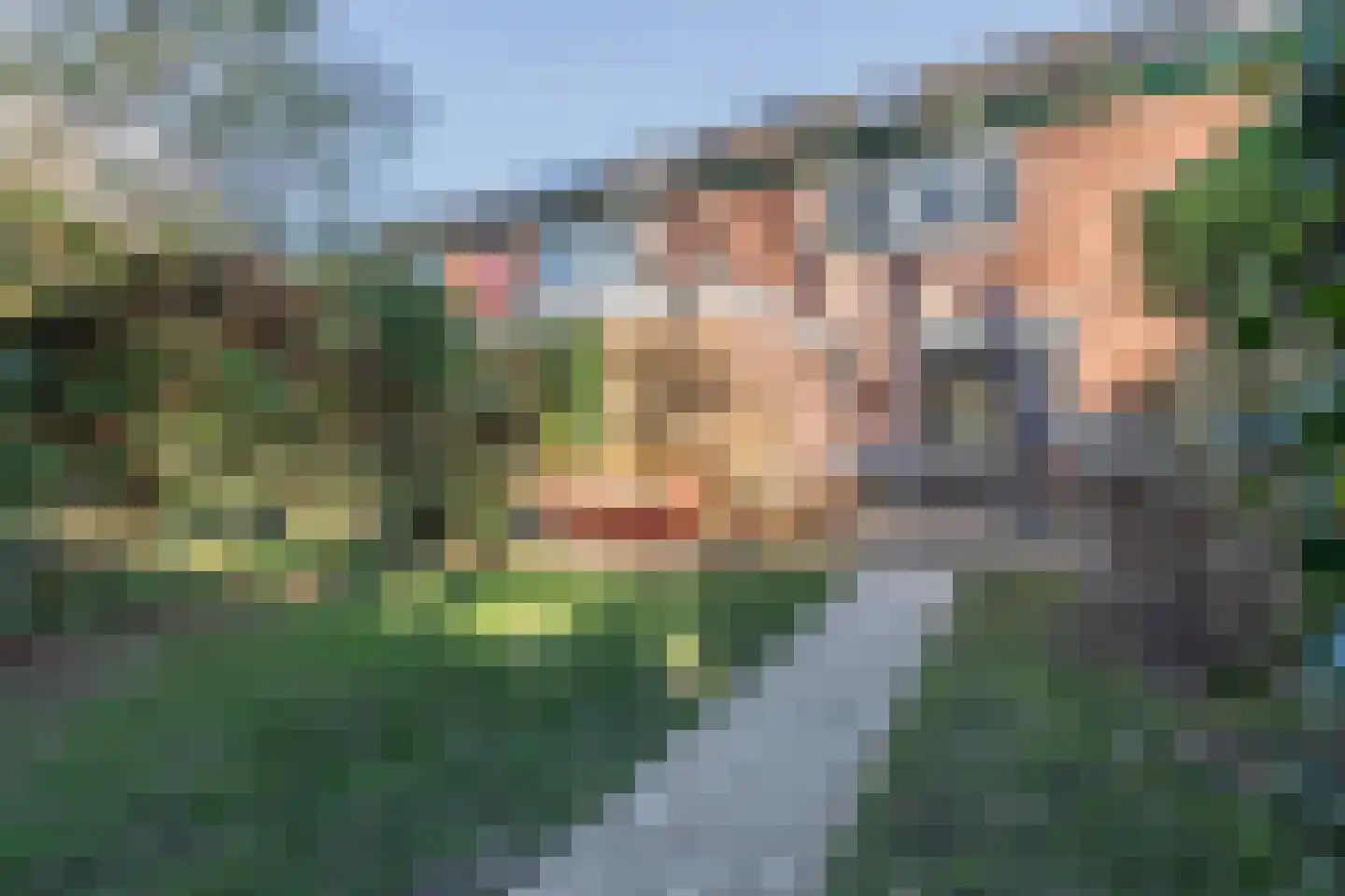 Roghorst 185 Wageningen thumbnail 51