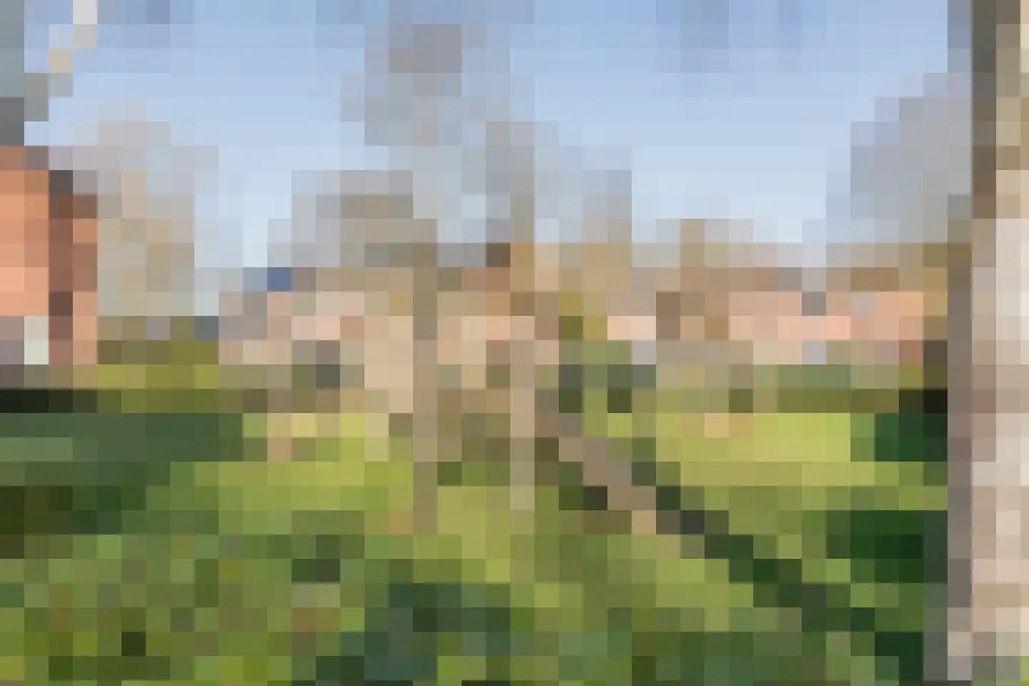 Roghorst 185 Wageningen thumbnail 56