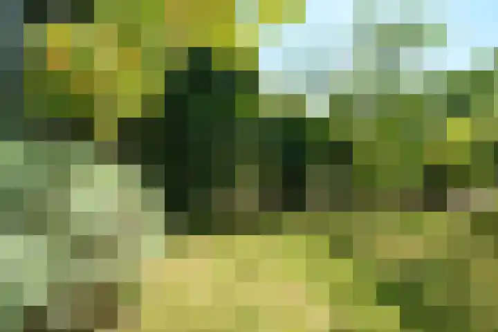Roghorst 21 Wageningen thumbnail 24