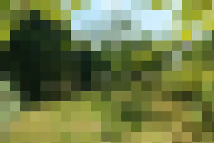 Roghorst 21 Wageningen thumbnail 25