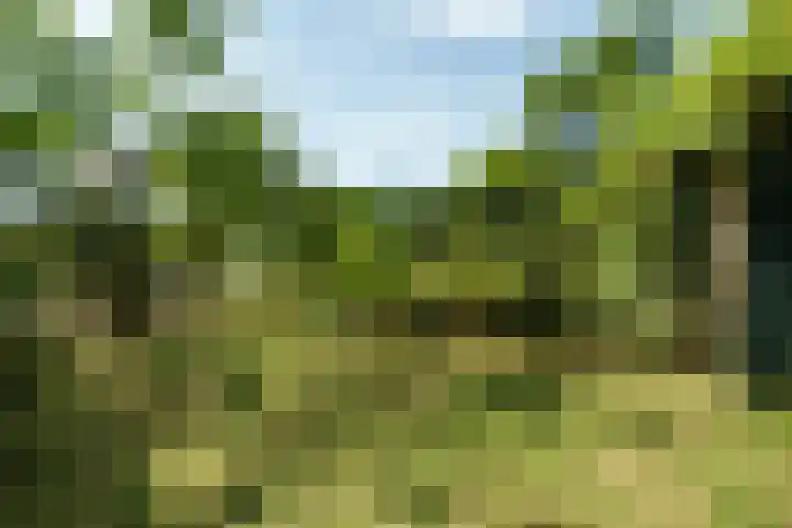 Roghorst 21 Wageningen thumbnail 26