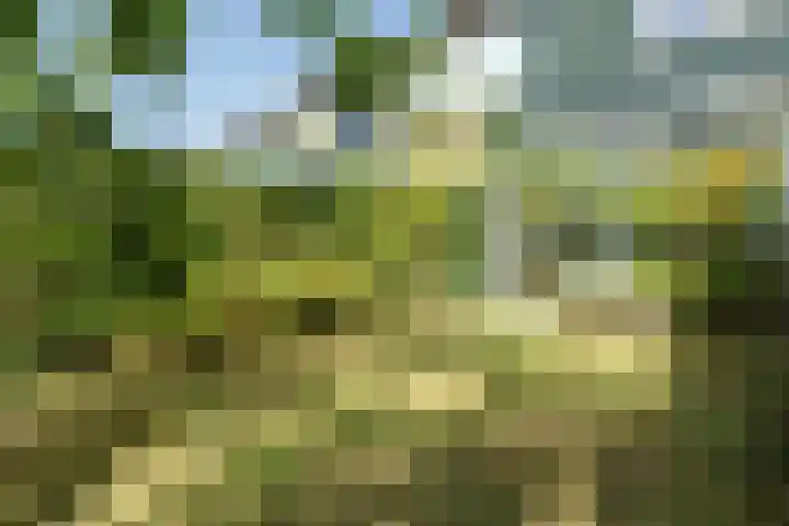 Roghorst 21 Wageningen thumbnail 27