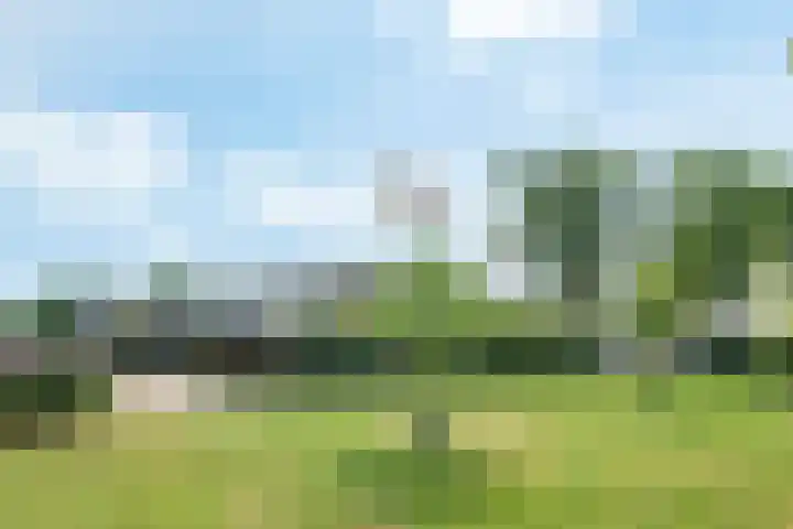 Roghorst 21 Wageningen thumbnail 28