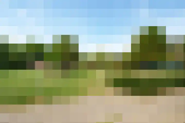 Roghorst 21 Wageningen thumbnail 29