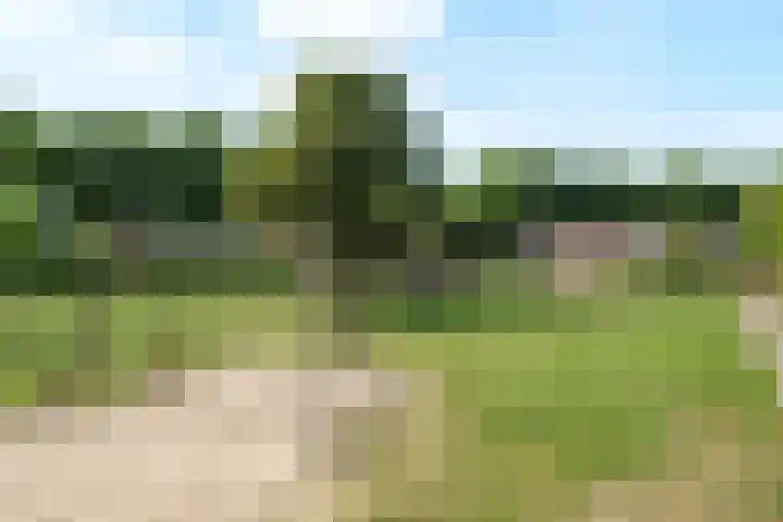 Roghorst 21 Wageningen thumbnail 30