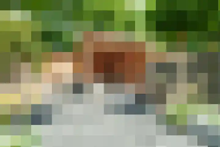 Roghorst 253 Wageningen thumbnail 31