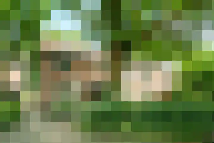 Roghorst 253 Wageningen thumbnail 36