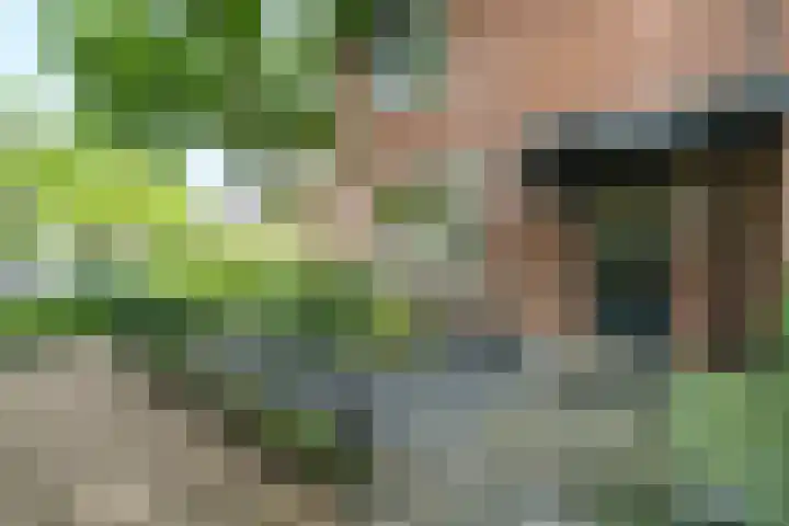 Roghorst 253 Wageningen thumbnail 4