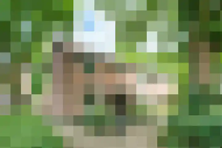 Roghorst 253 Wageningen thumbnail 45