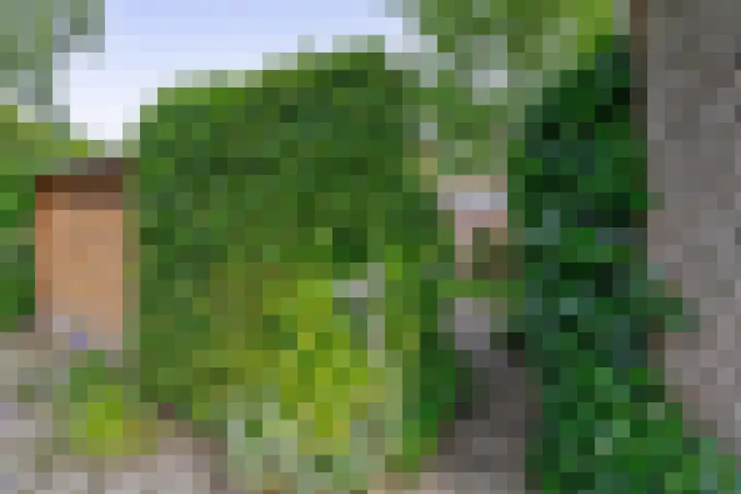 Roghorst 30 Wageningen thumbnail 29