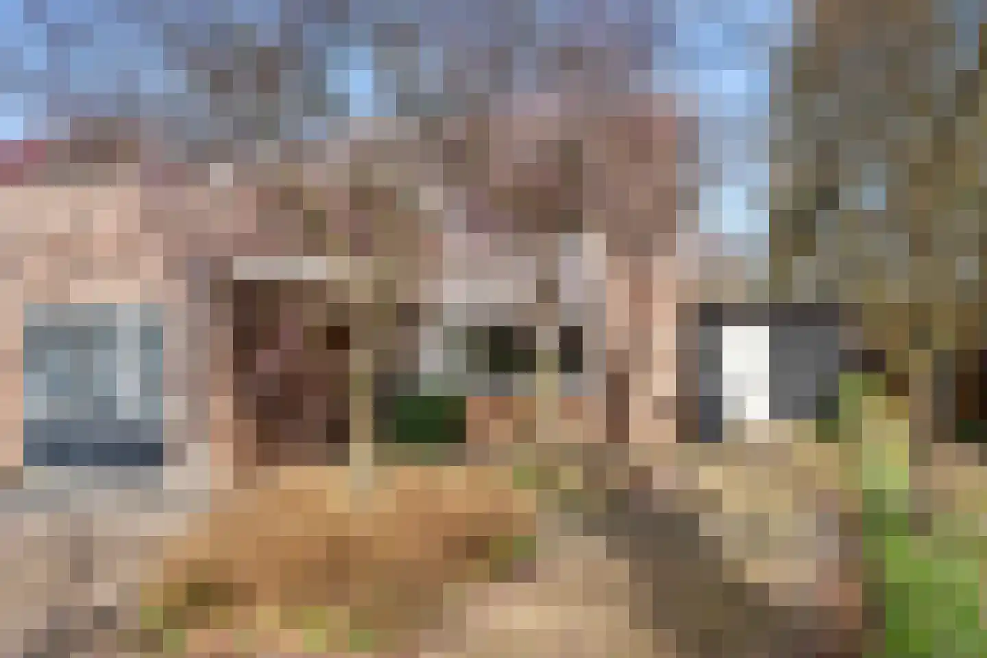 Roghorst 313 Wageningen