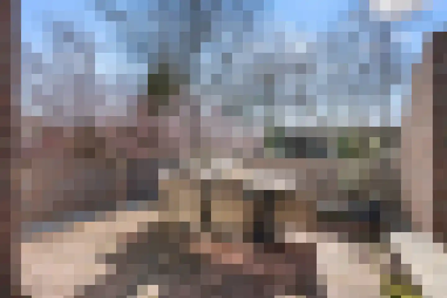 Roghorst 313 Wageningen thumbnail 21