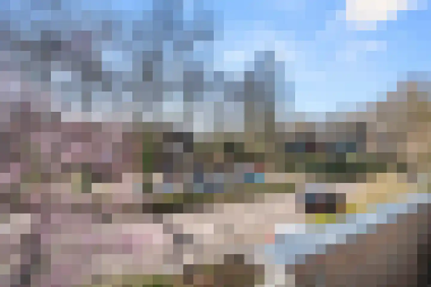 Roghorst 313 Wageningen thumbnail 23