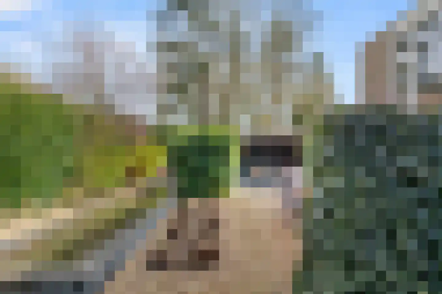 Roghorst 313 Wageningen thumbnail 37