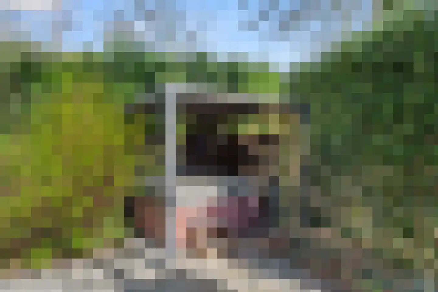 Roghorst 313 Wageningen thumbnail 39